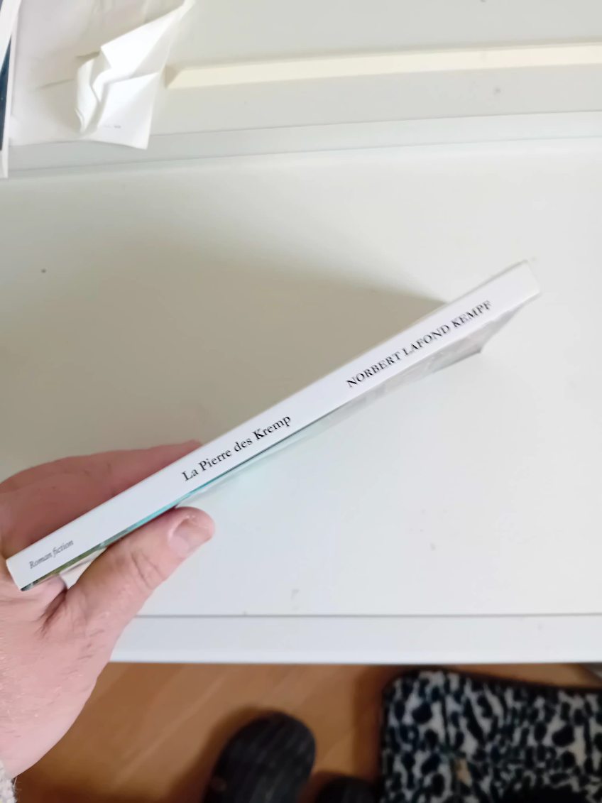 La pierre des Kremp – Un roman fantastique entre magie, aventure et destin