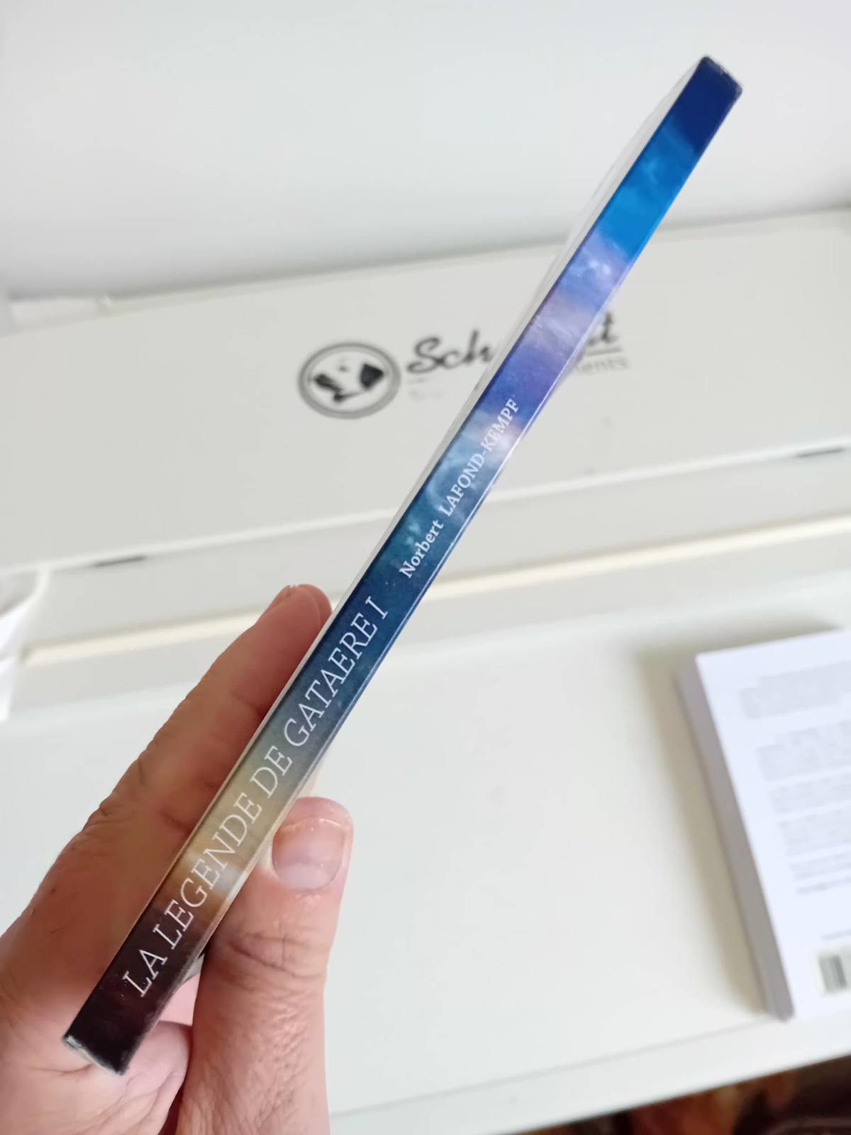 La légende de Gataere – Tome I | Une saga de fantasy épique et immersive