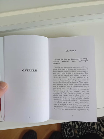 La légende de Gataere – Tome II | La saga s’intensifie, les choix deviennent irréversibles Les écrits fantastiques de Norbert
