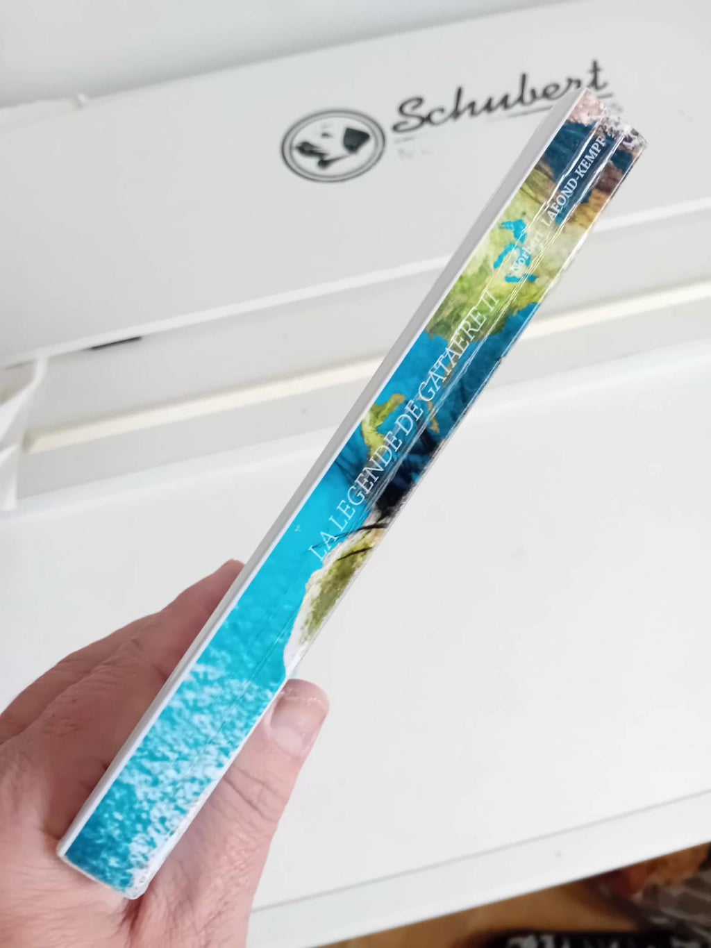 La légende de Gataere – Tome II | La saga s’intensifie, les choix deviennent irréversibles