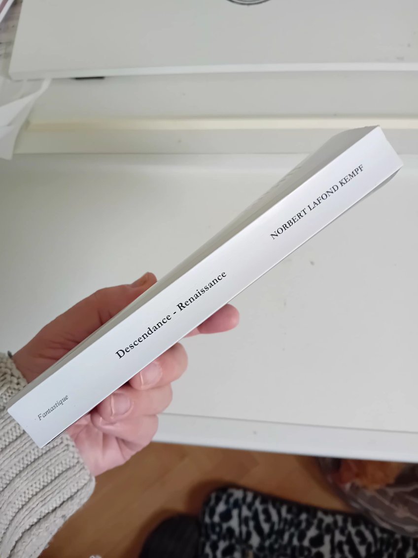 Descendance/Renaissance - roman fantastique - tome 4 de la Saga Debeaupré NOUVEAUTÉ